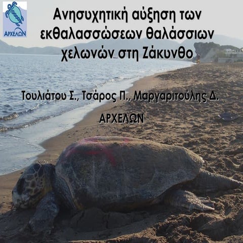An alarming increase of turtle strandings at Zakynthos.  Touliatou S., Tsaros...