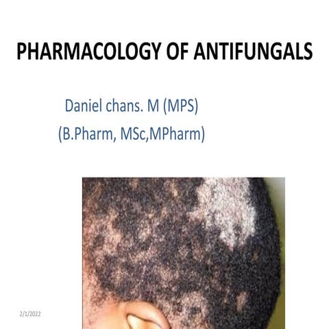 6) Antifungal Drugs by Doctor Chans .pdf