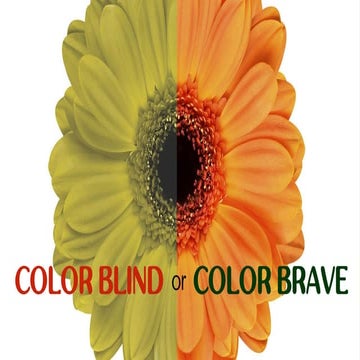 Color Blind or Color Brave? | PDF