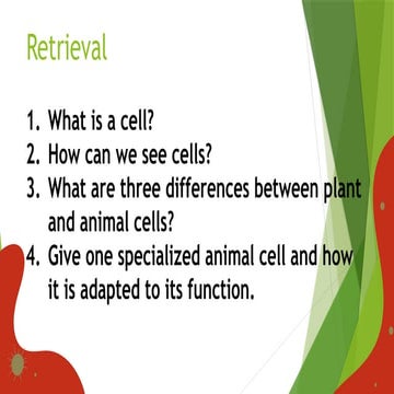 Cells-and-Organisation-L4-Specialised-Cells-PowerPoint.pptx