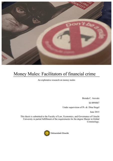 Money Mule Thesis_Brenda Arevalo