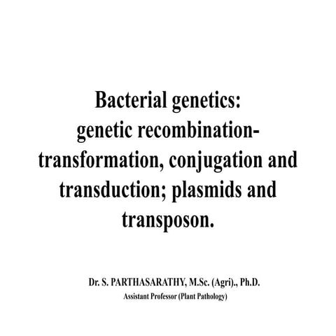 Bacterial genetics
