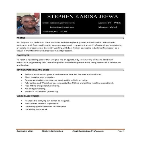 karisa steve 2016 pdf  cv