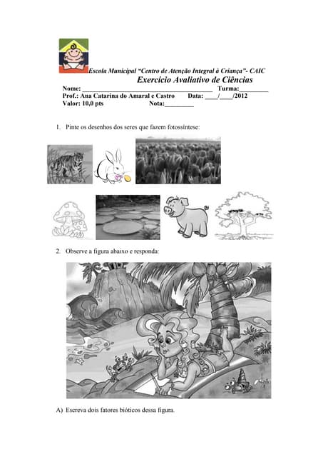 6 b caic prova 2 bimestre ano