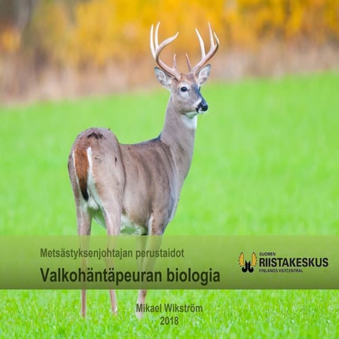 valkoh-nt-peuran-biologia-ppt