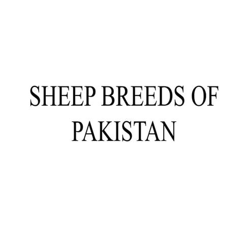 6 c. SHEEP BREEDS new.ppt