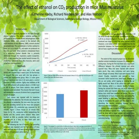 Bio 3A POSTER- The effect of ethanol on CO₂ production in mice Mus musculus