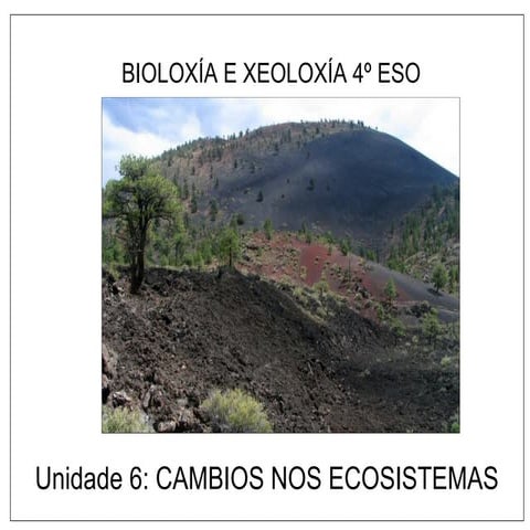 6 Cambios nos  ecosistemas