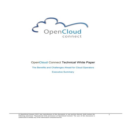 OCC-Executive-Summary-20150323