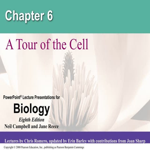6_Cell Structure and Detailed Overview.pdf
