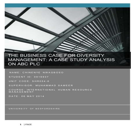 CHINENYE DIVERSITY PROJECT FINAL COPY 2014