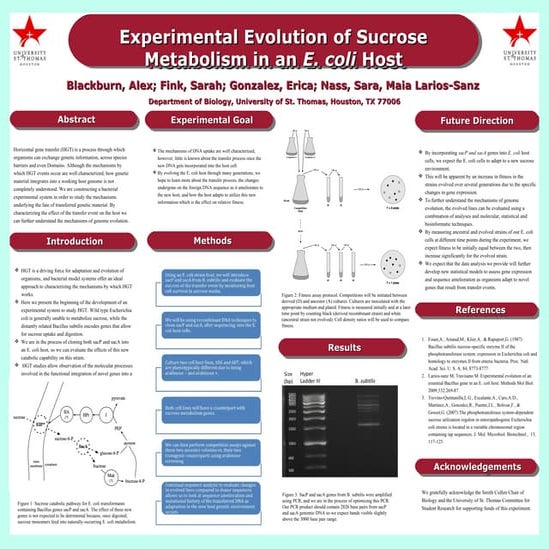 Research Symposium Poster Draft