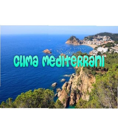 6 clima mediterrani ruyi ye