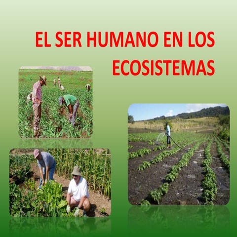 6º_CM_05 el ser humano en los ecosistemas | PPSX