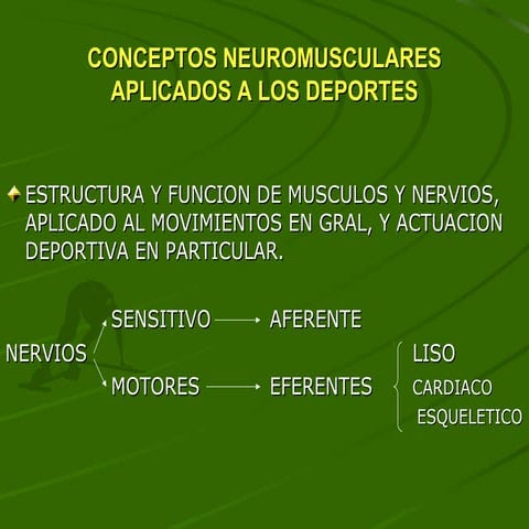 6 conceptos neuromusculares