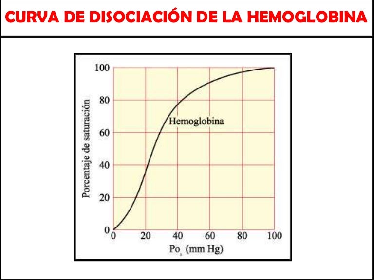 curva de disociacion de la hemoglobina. curva de disociacion de la hemoglobina.