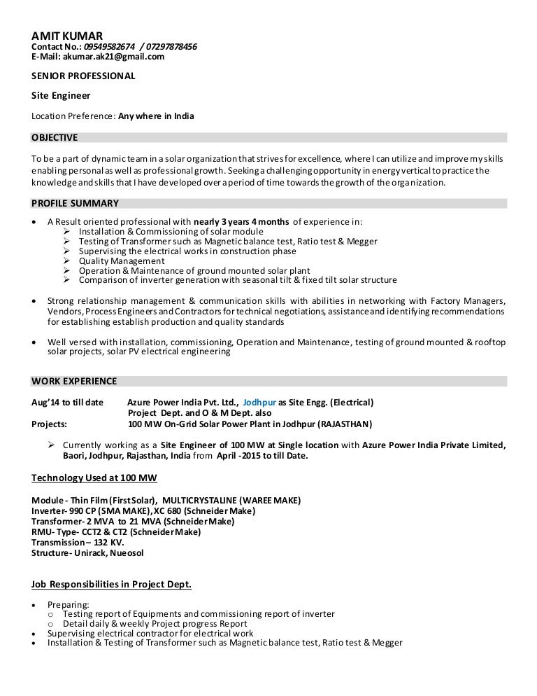 Curriculum vitae format image