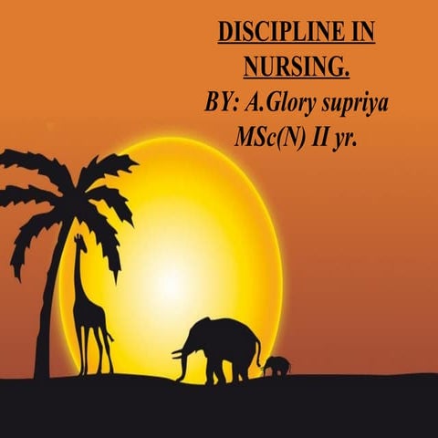 discipline in nursing
