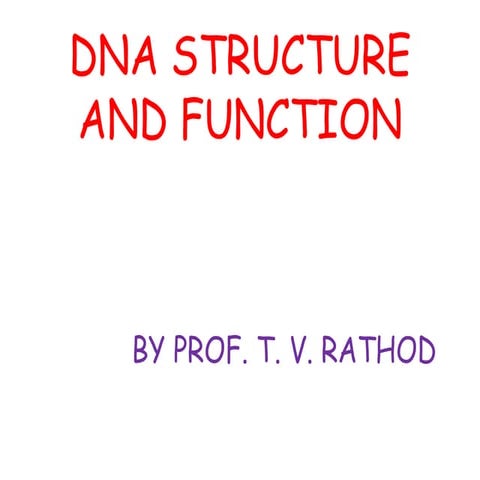 DNA Structure & Function