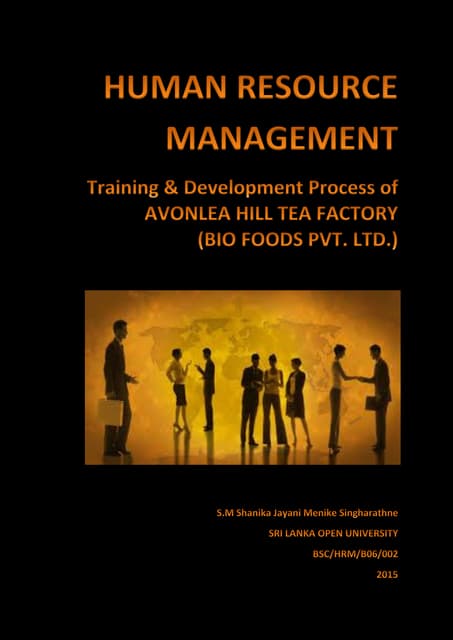Dissertation training development