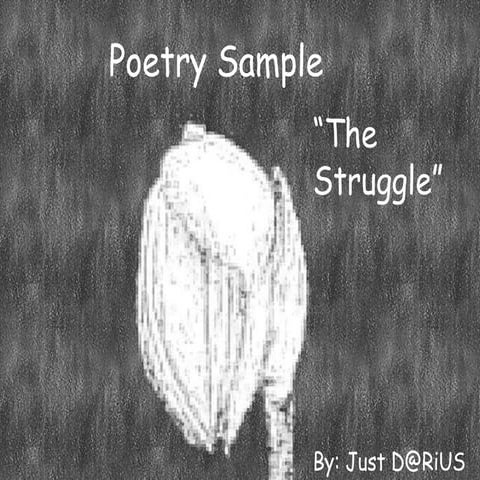 eBook Poetry Sample The Struggle