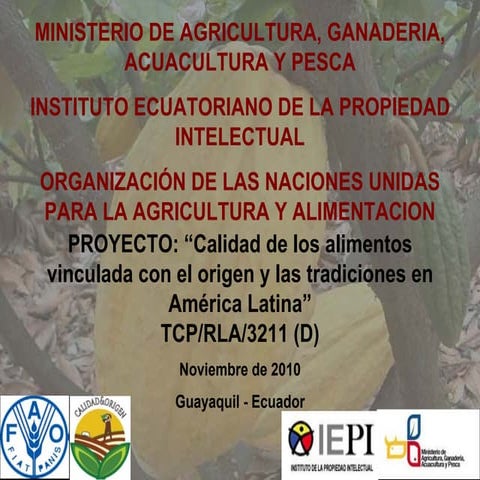 ECUADOR - Cacao Arriba (spanish)