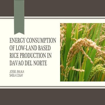 6_Energy consumption in low-land based rice production in.pptx