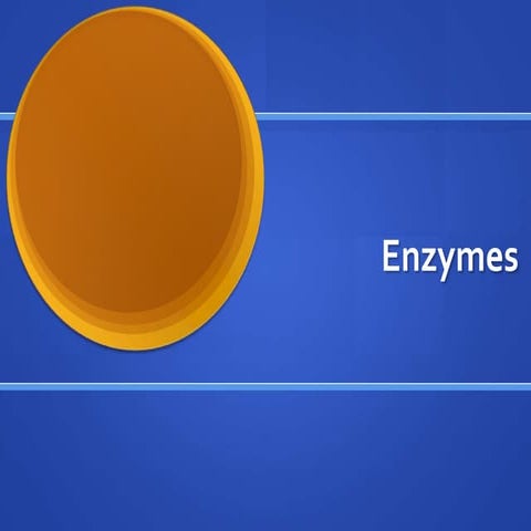 6 enzyme notes