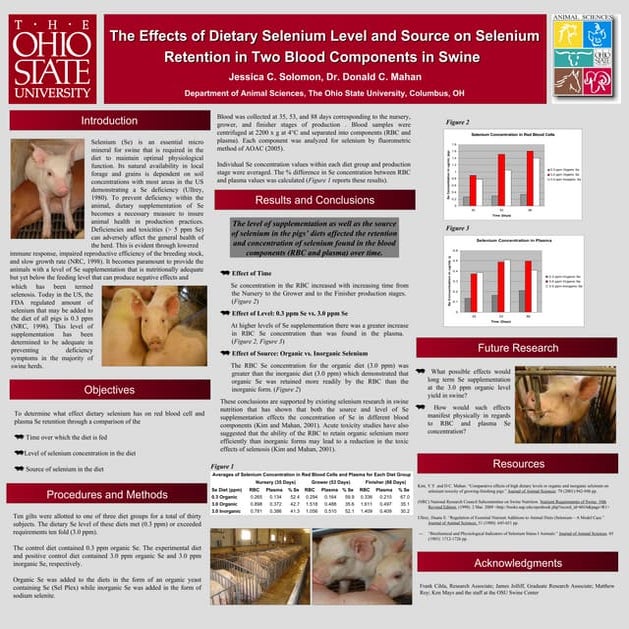 Copy of Poster for Denman