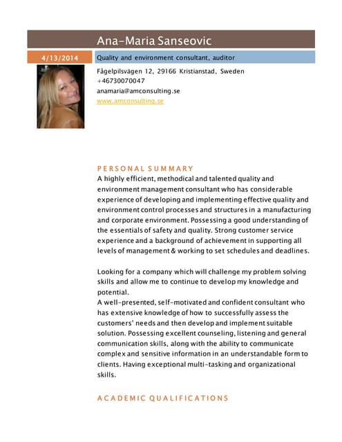 CV eng Sanseovic 2013