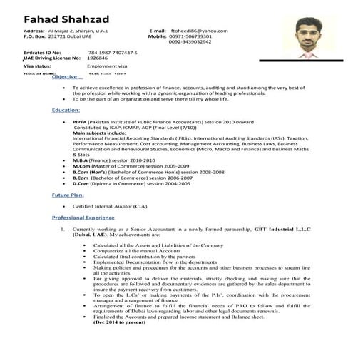UAE experienced Senior Auditor,Senior Accountant's C.V