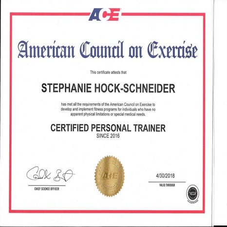 ACE-PT-Cert 