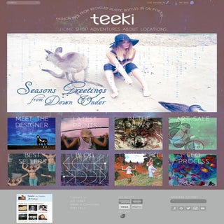 TEEKI WEBSITE