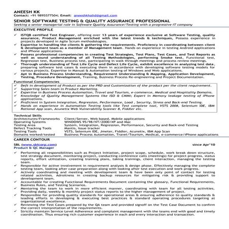 aneeshSeniorTestProfessional