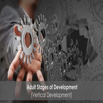 HB HUB  - Adult Stages of Development 2