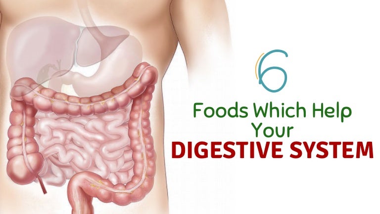 6 Foods Which Help Your Digestive System