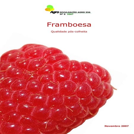 6 framboesa qualidade_pos_colheita_1369136880