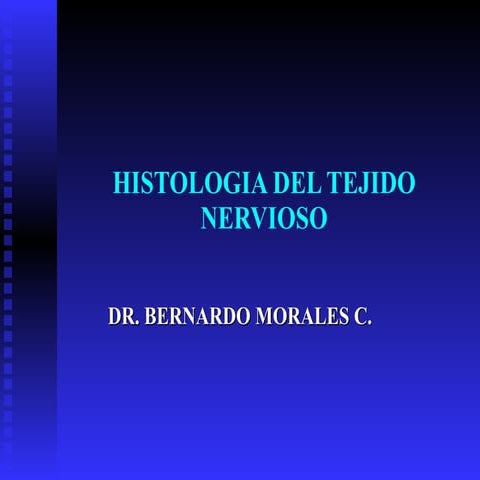 6 histologia del tejido nervioso