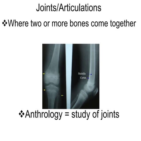 Anatomy and Physiology 6 joints