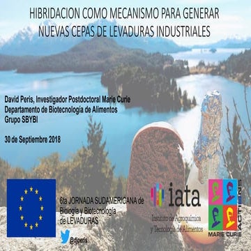 Hibridación como mecanismo para generar nuevas cepas de levaduras industriales