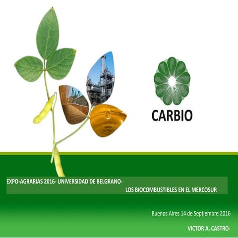 Análisis de situación y prospectiva de la Cadena de valor del trigo | PDF
