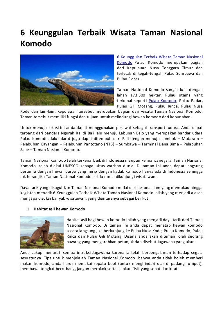 6 Keunggulan Terbaik Wisata Taman Nasional Komodo