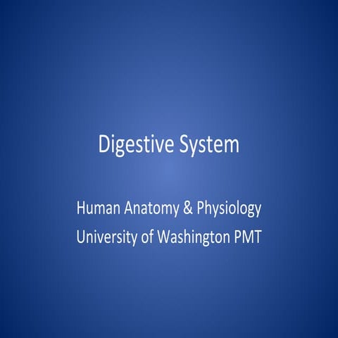 Digestive system 