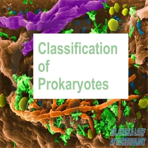[Micro] classification of prokaryotes | PPT