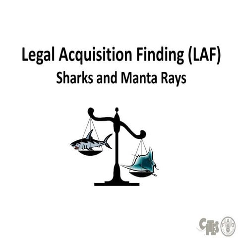 Legal Acquisition Finding (LAF) - Sharks and Manta Rays