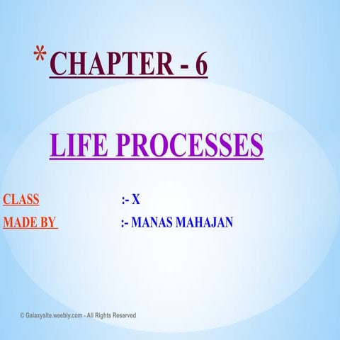 Class 10 Life Processes High Quality Notes 1 Pptx