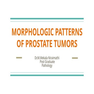 MORPHOLOGICAL PATTERNS OF PROSTATE TUMORS.pptx
