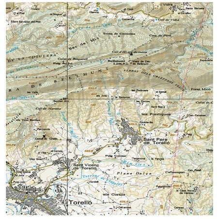 1617 LLEGIM CS NO RIU EL RIU -MAPA GES-