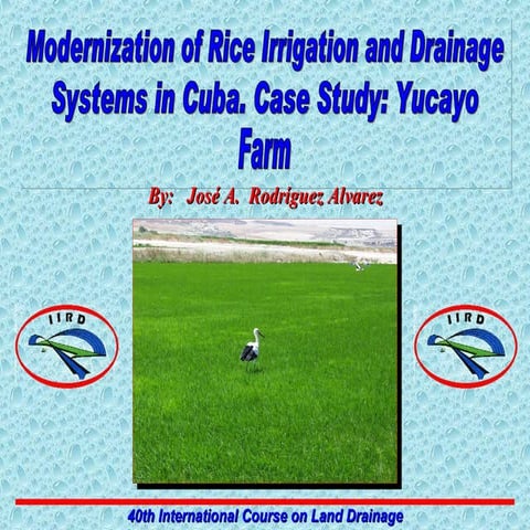 Modernization of Rice Irrigation and Drainage