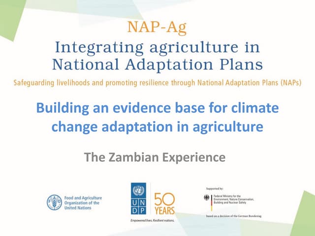 Building an evidence base for climate change adaptation in agriculture: The Zambian Experience